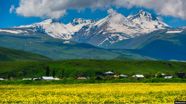 Պատկերը՝ Shutterstock